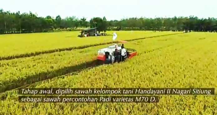 HKTI Bantu Petani Indonesia Pasarkan Produk Pertanian di Tengah Wabah Corona