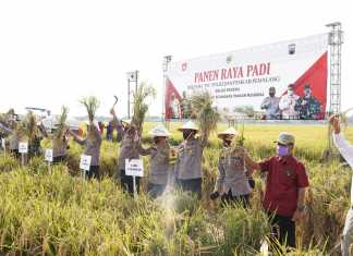 panen raya tni polri