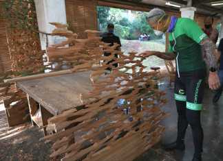 Furniture Artis Hollywood
